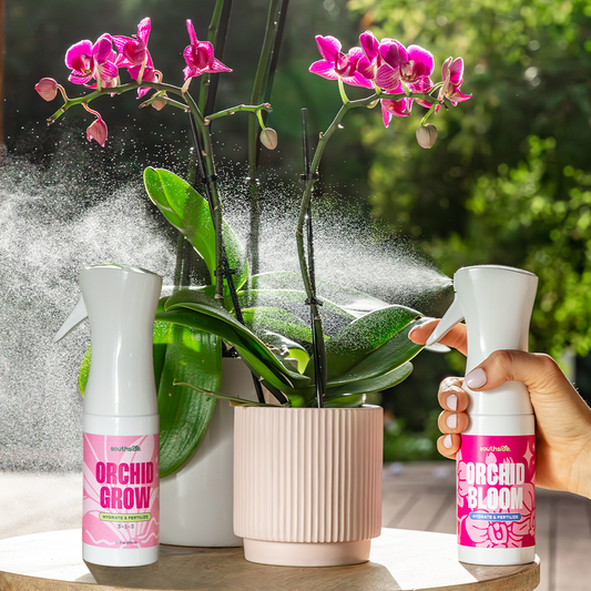 Orchid Grow and Bloom Sprays