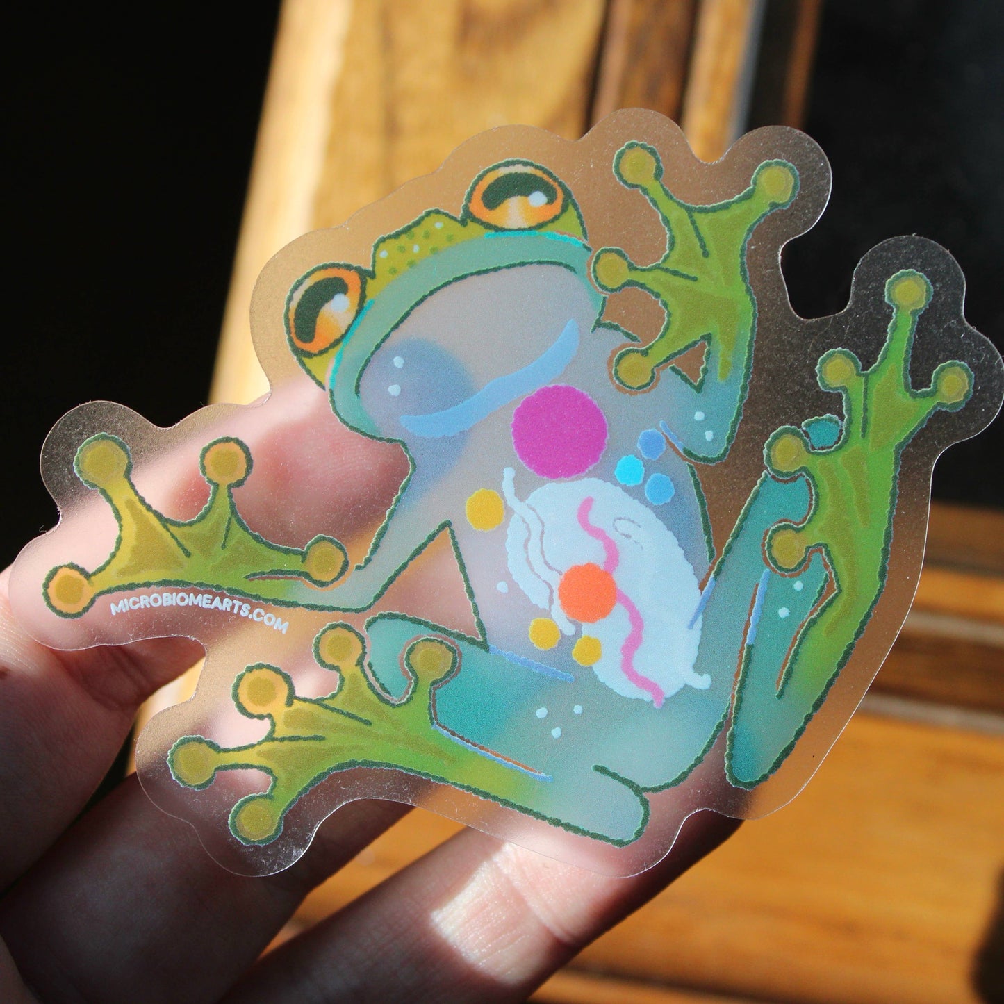 Transparent Glass Frog 3” Sticker