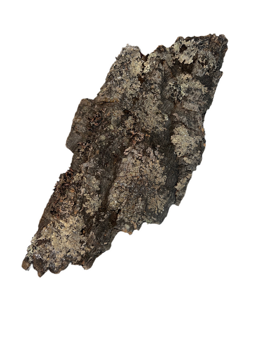 Medium Cork Bark Flat 11”-15”