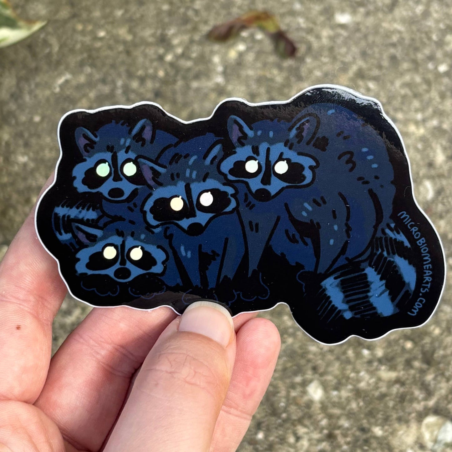 Glowing Eye Raccoons Holo 3.5” Sticker