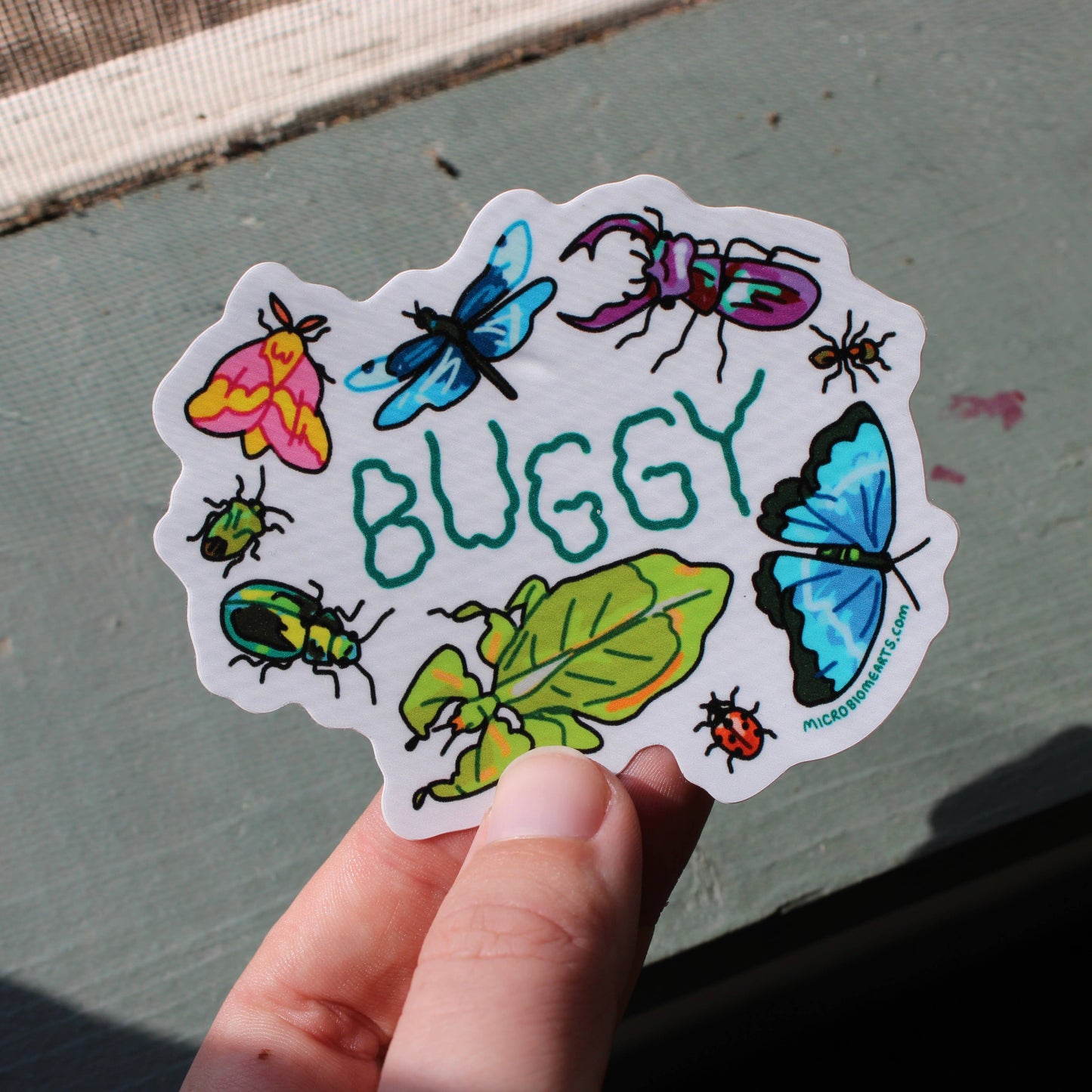 Buggy 3” Sticker