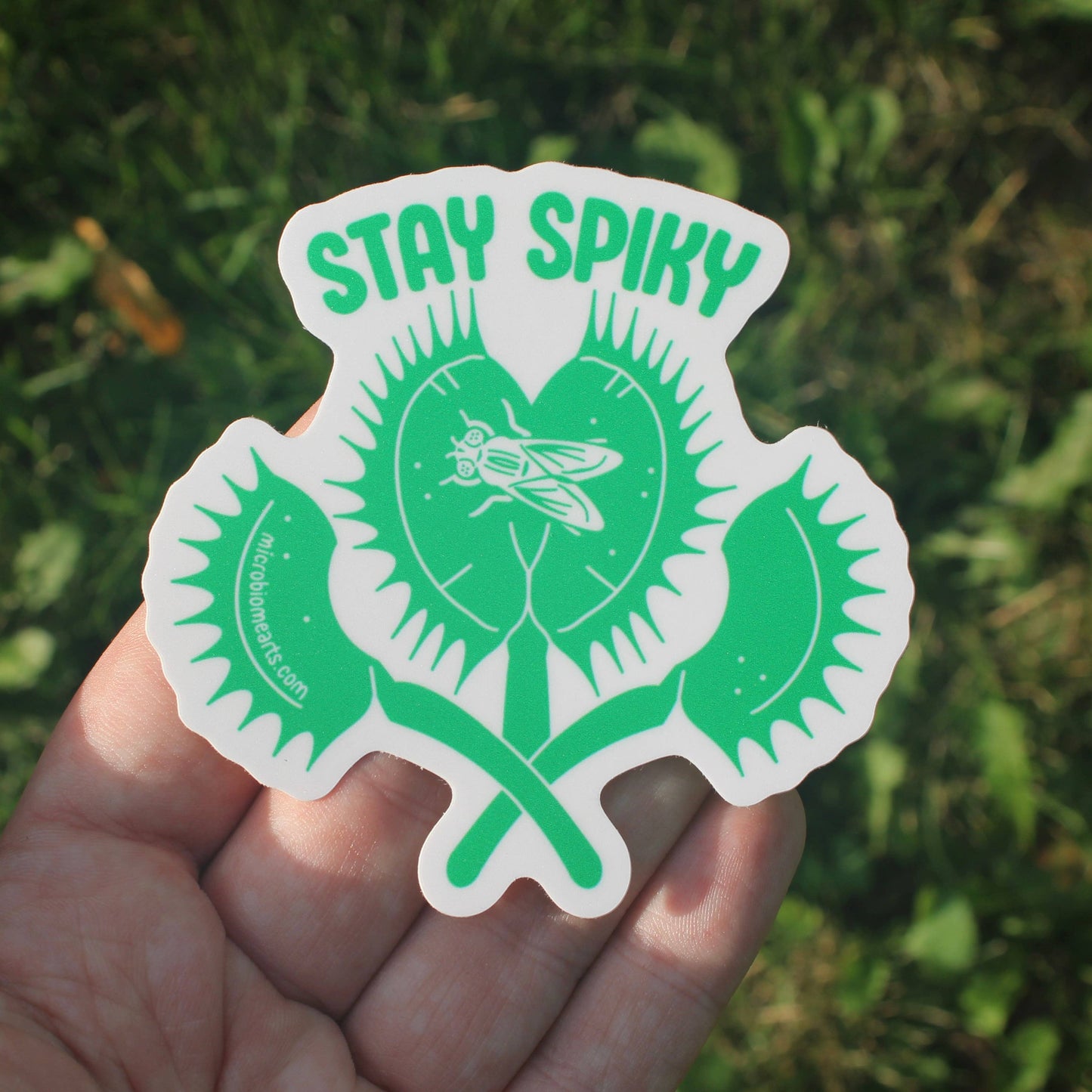 Stay Spiky Plant 3” Sticker