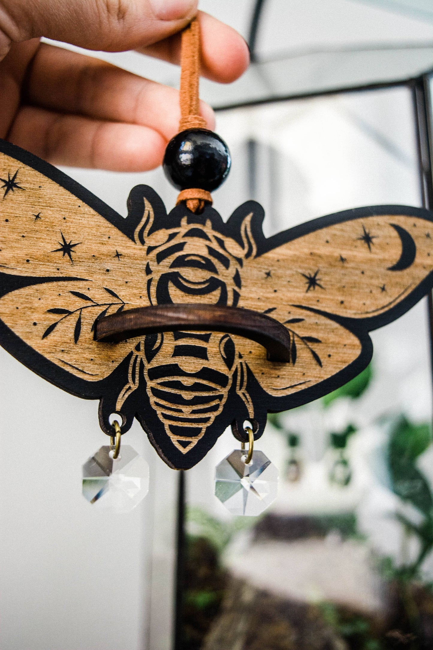 Cicada Airplant Holder Hanging Mini Suncatcher: Without Airplant / Stained Black