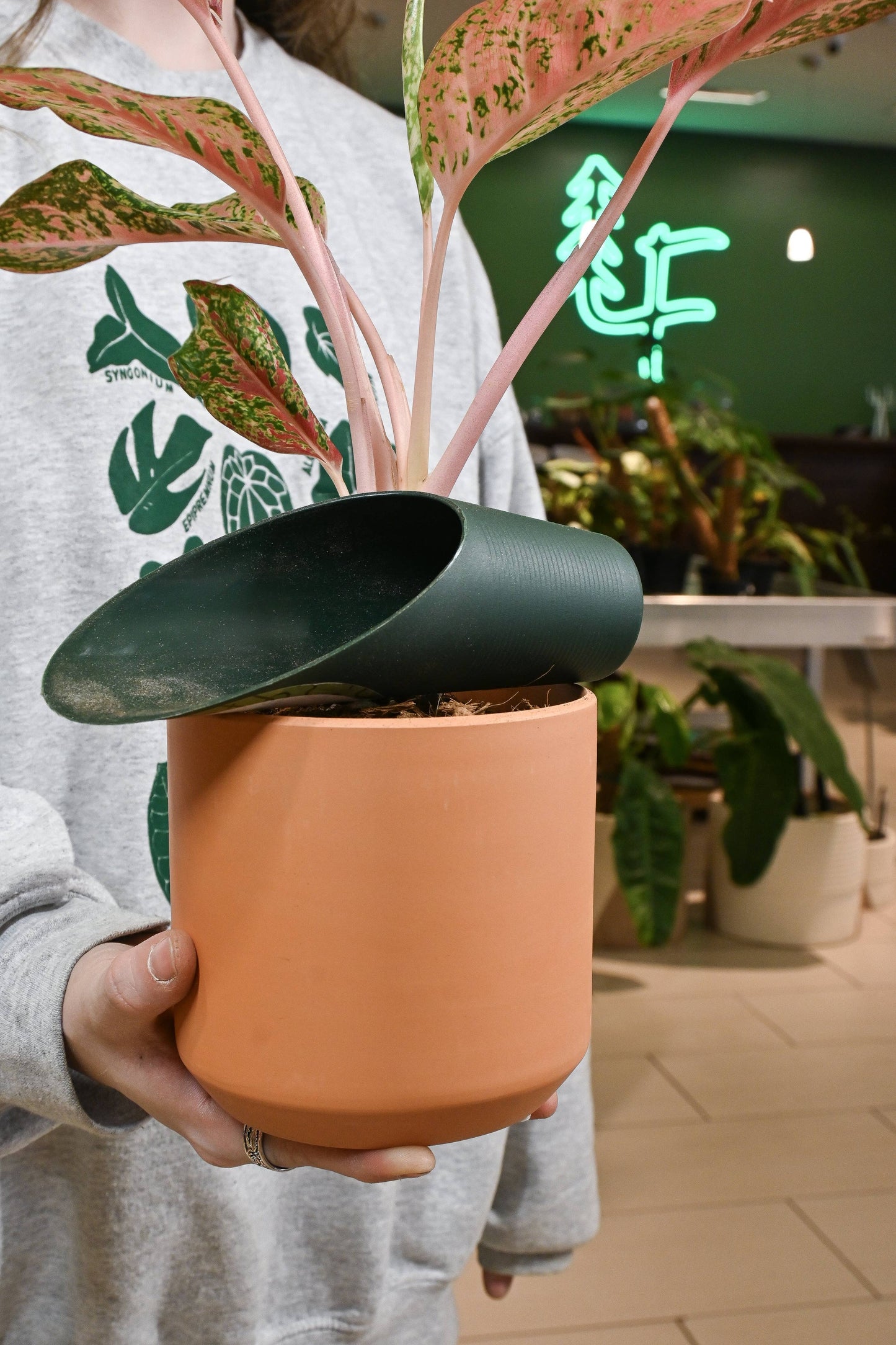 Repotting Cup