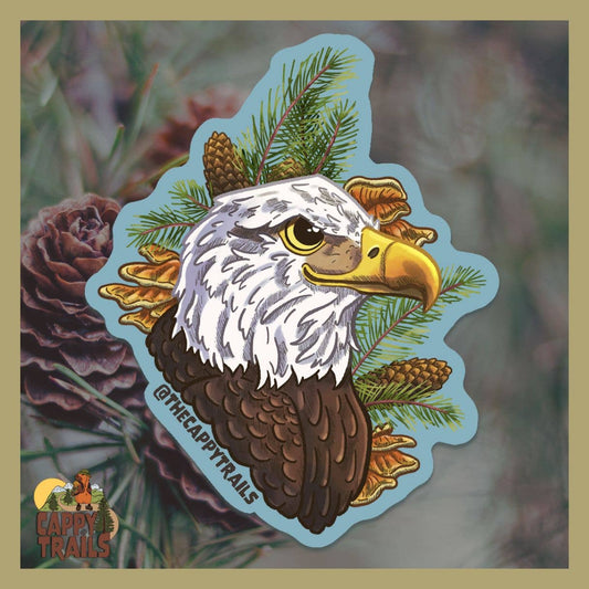 Bald Eagle Sticker: 3 inch