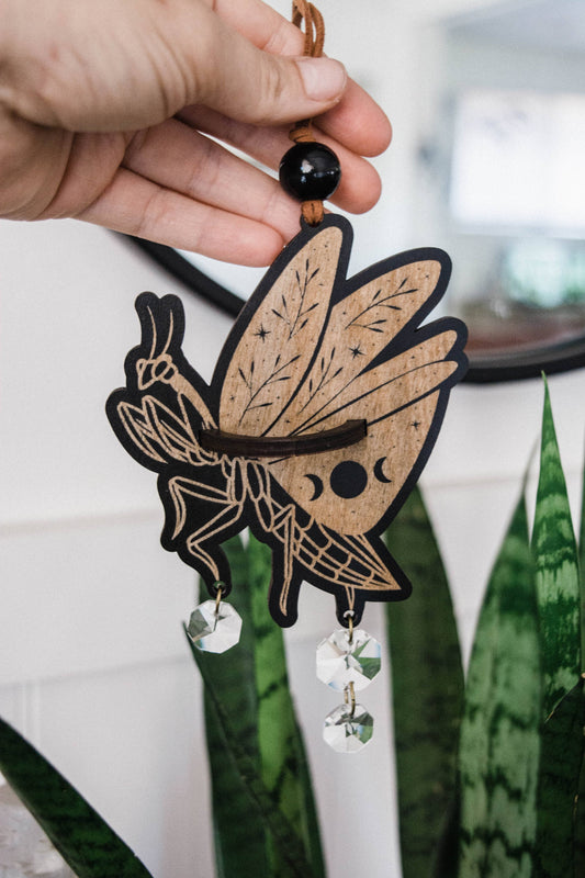 Praying Mantis Airplant Holder Hanging Mini Suncatcher : Without Airplant / Stained Black
