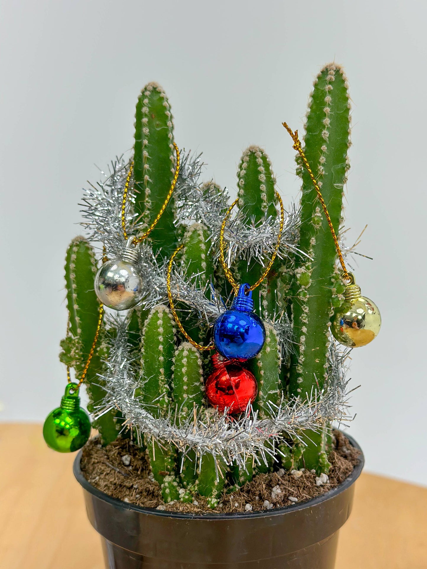 Plant Decoration Kit With Working Christmas Lights