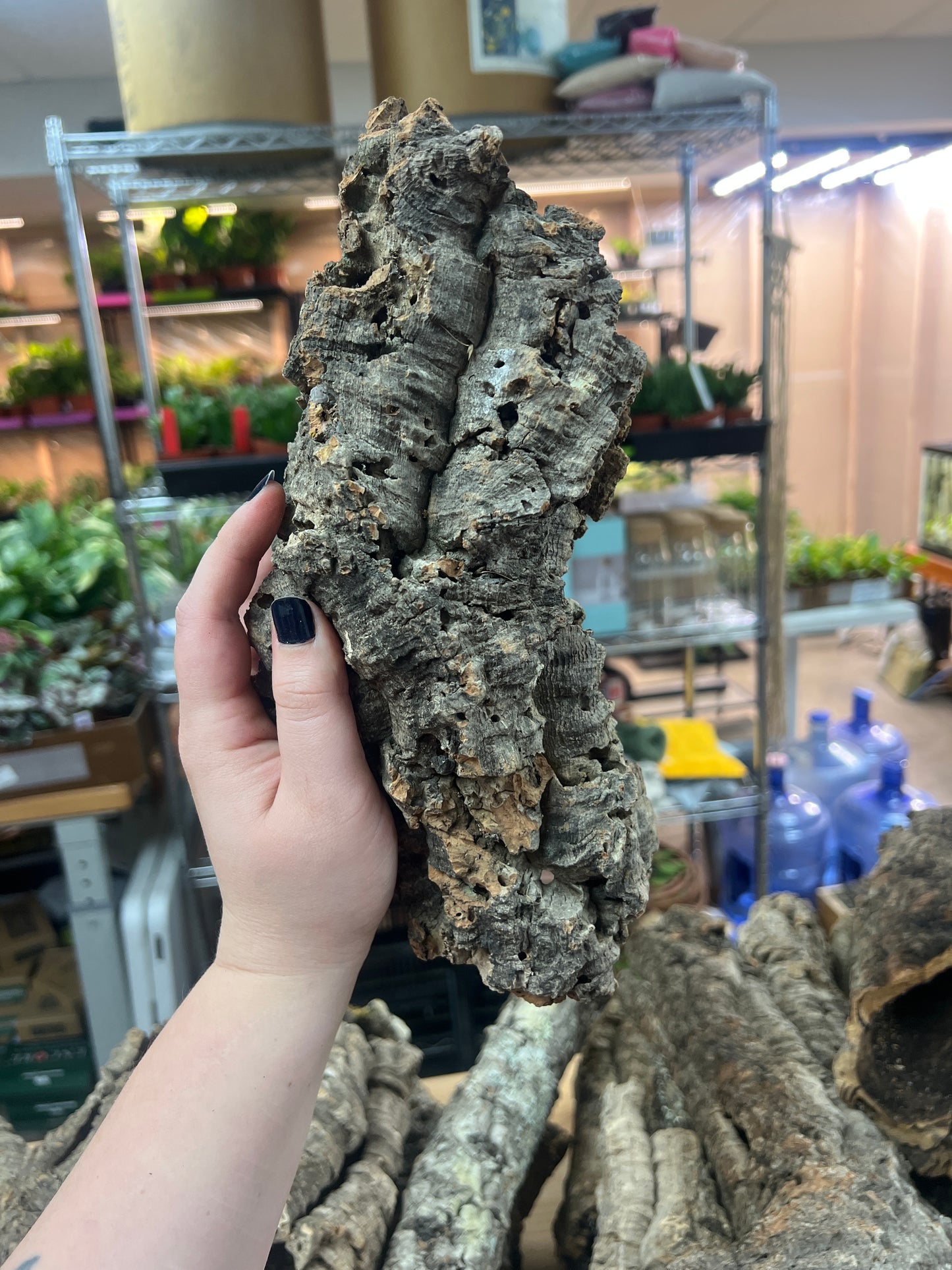 Cork Bark Tube- Medium