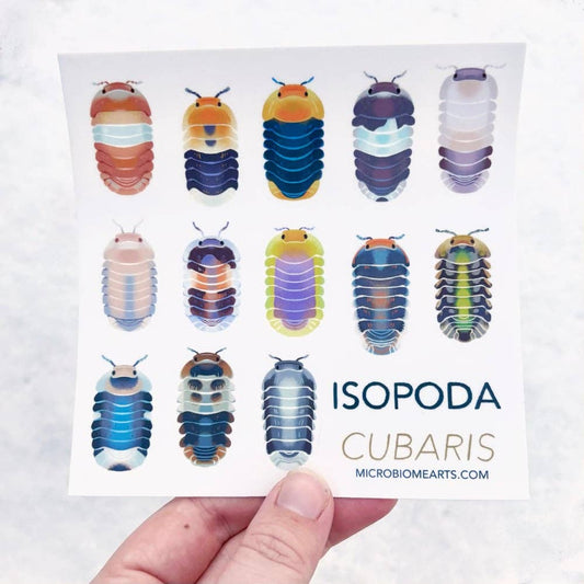 Cubaris Isopod Sticker Sheet