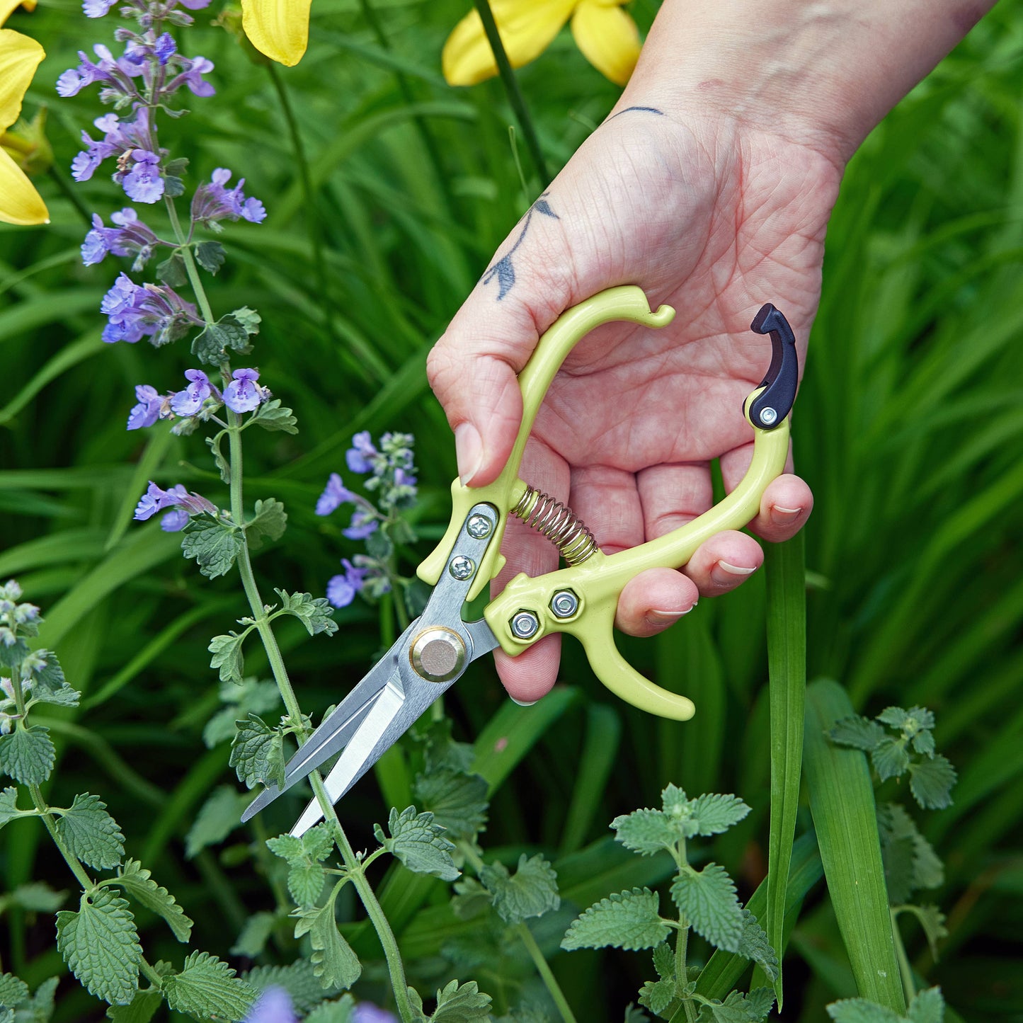 New Colors! Garden Shears