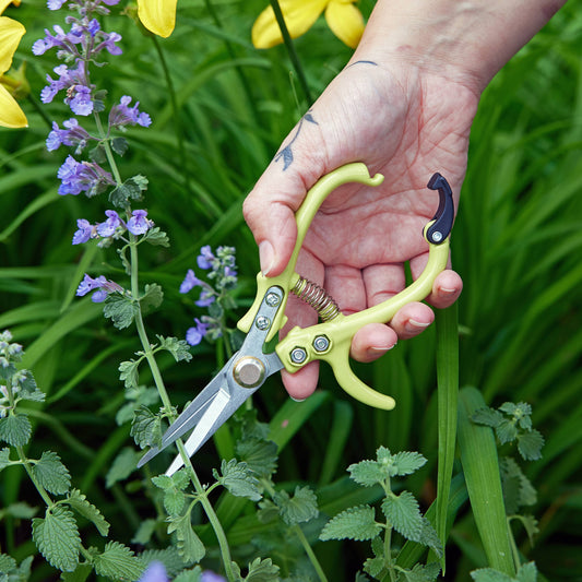 New Colors! Garden Shears