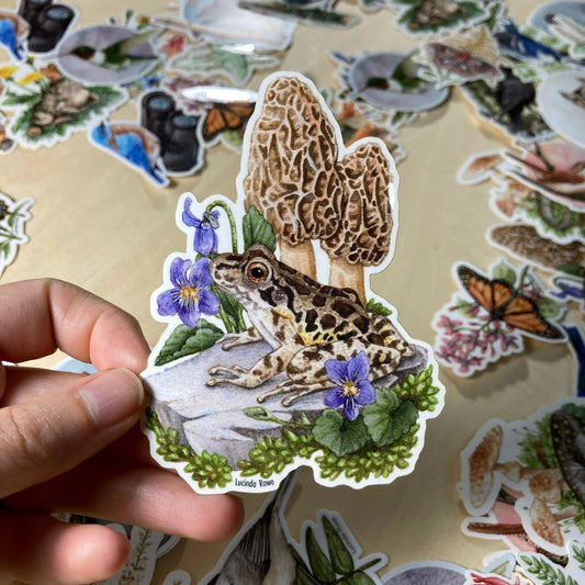 Vinyl Sticker - Pickerel Frog With Morels