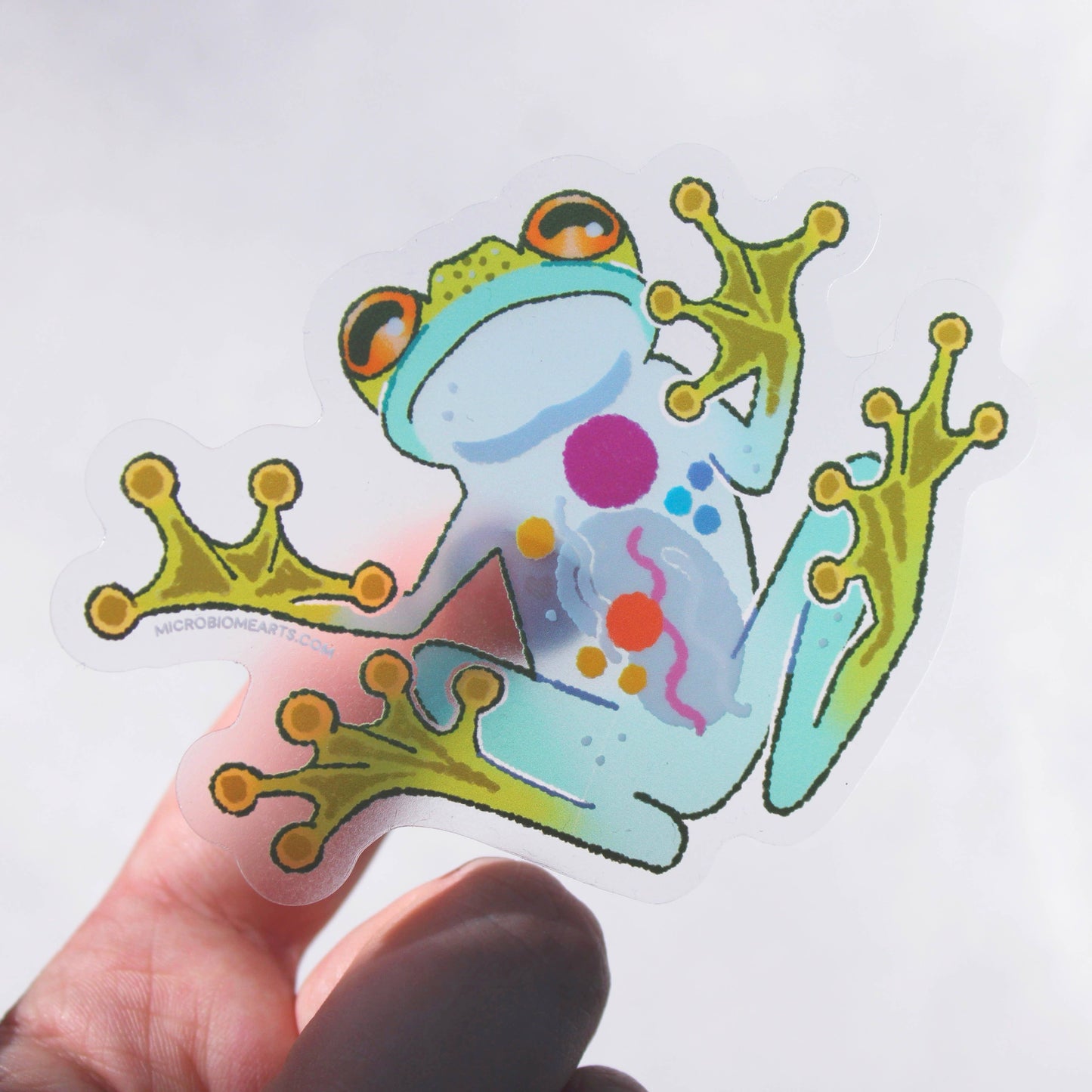 Transparent Glass Frog 3” Sticker