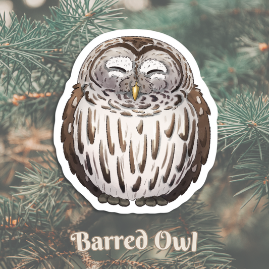 Chonky Barred Owl Sticker: 3 inch