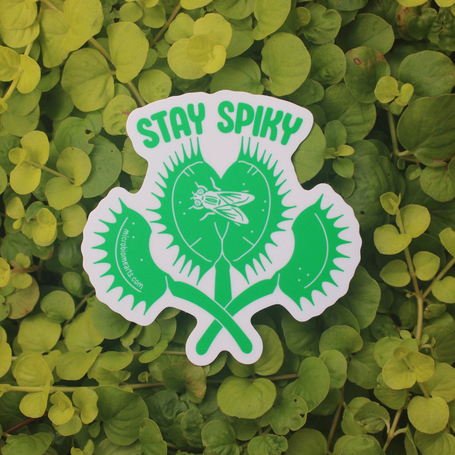 Stay Spiky Plant 3” Sticker
