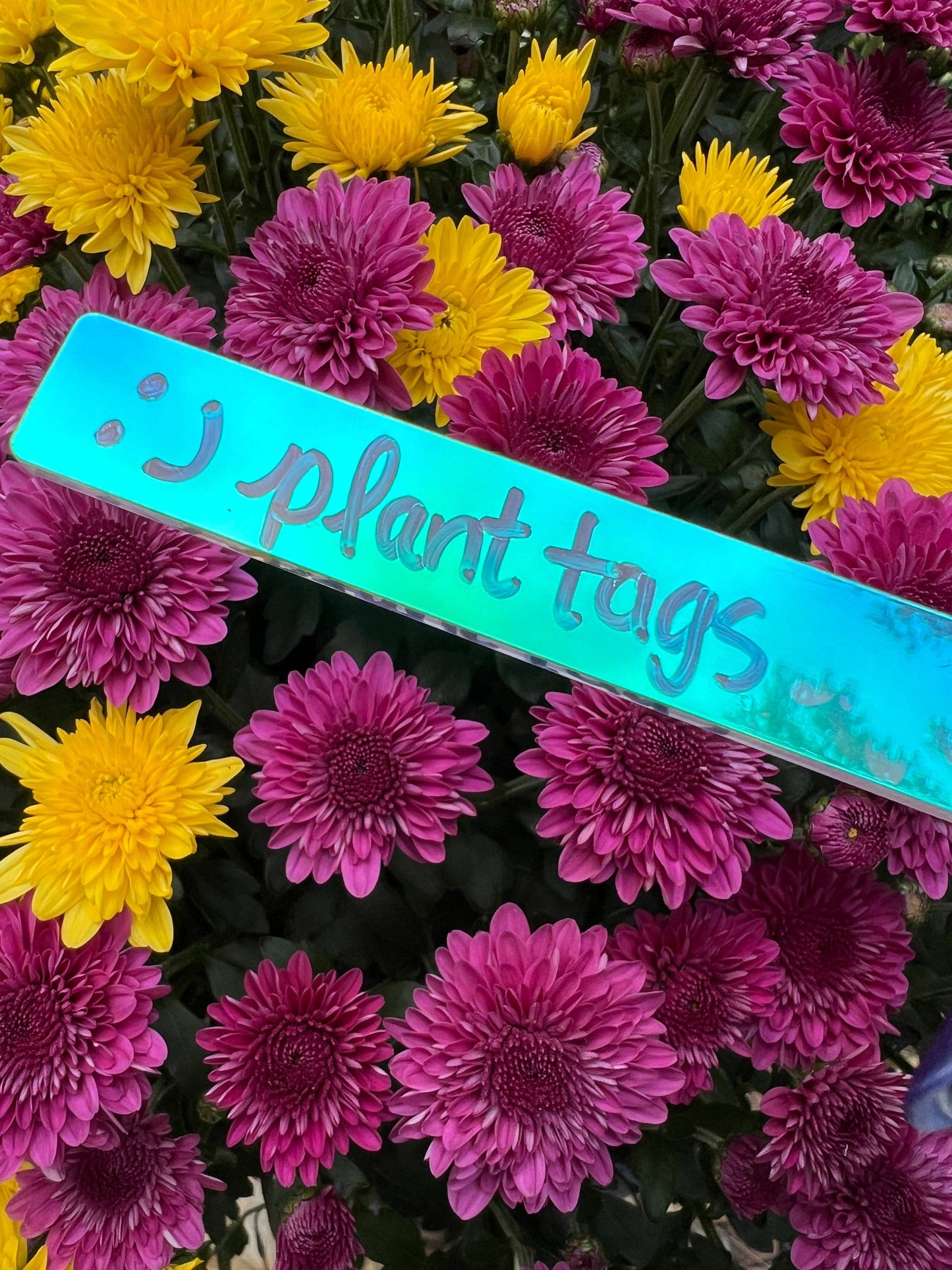 Iridescent Acrylic Plant Tags (Set of 25)