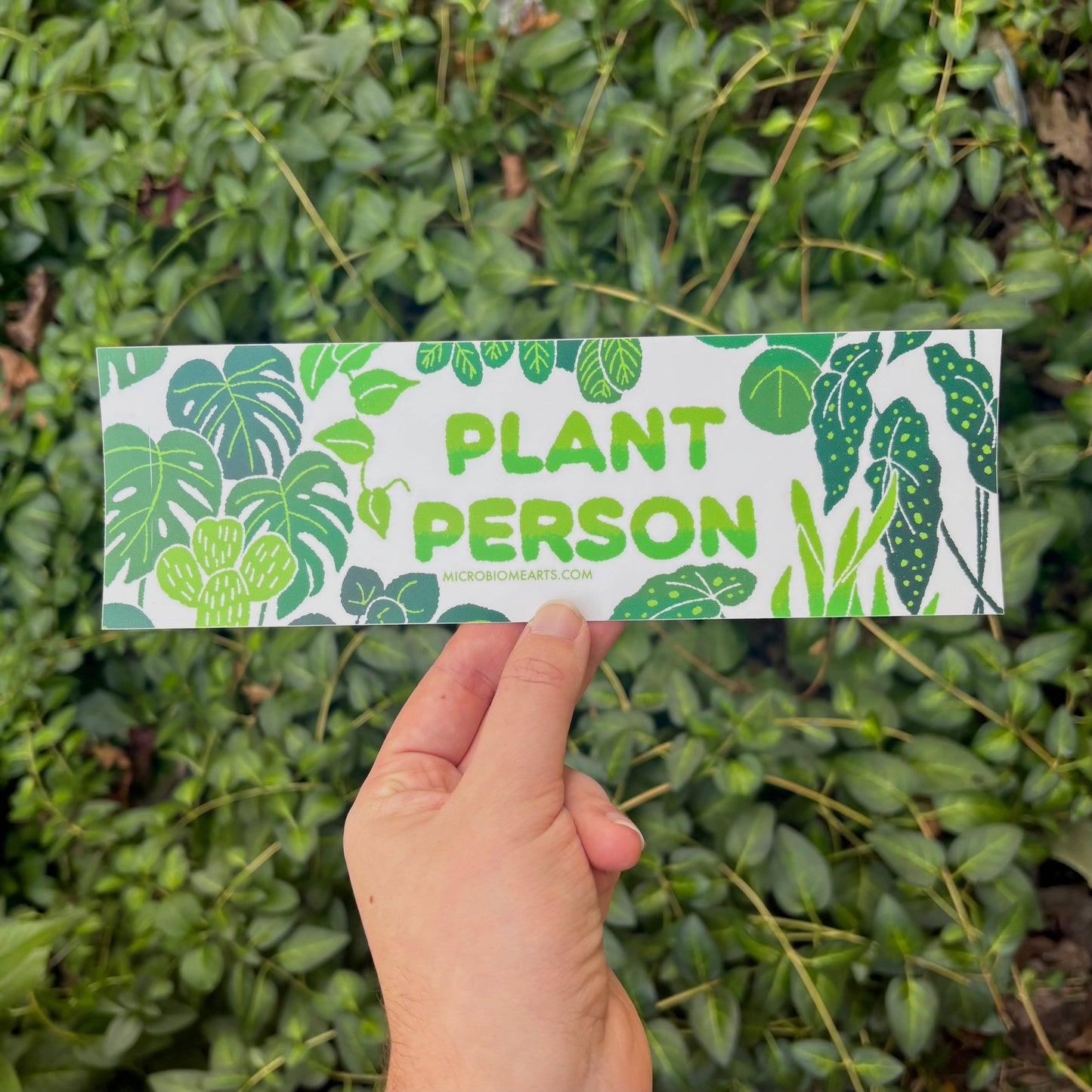 Plant Person Bumper Sticker
