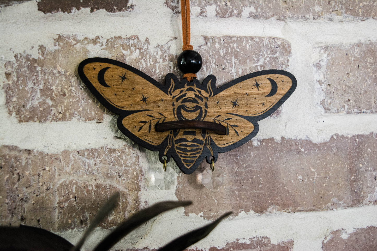 Cicada Airplant Holder Hanging Mini Suncatcher: Without Airplant / Stained Black