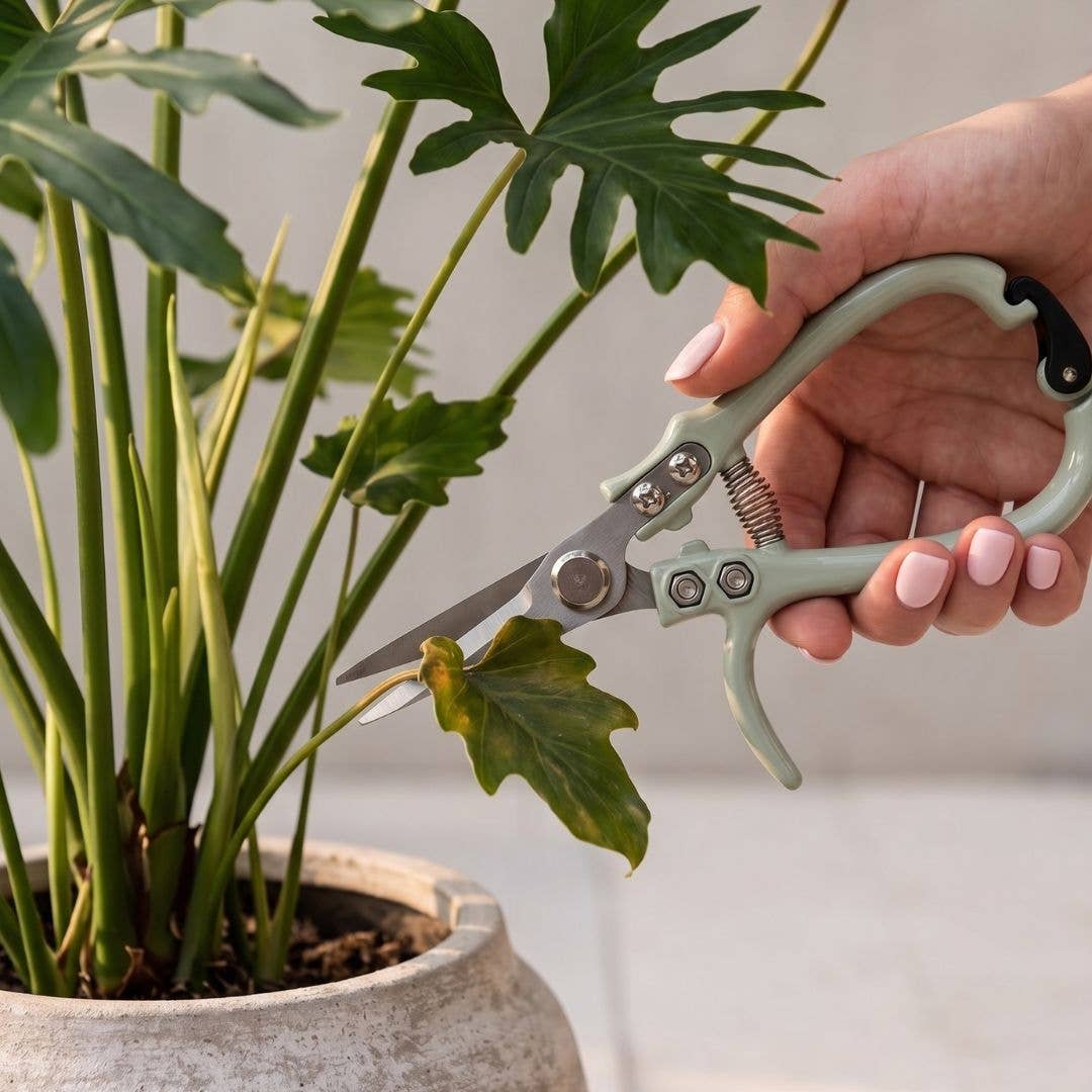 TFD Stainless Steel Garden Pruning Shears – Sage Green