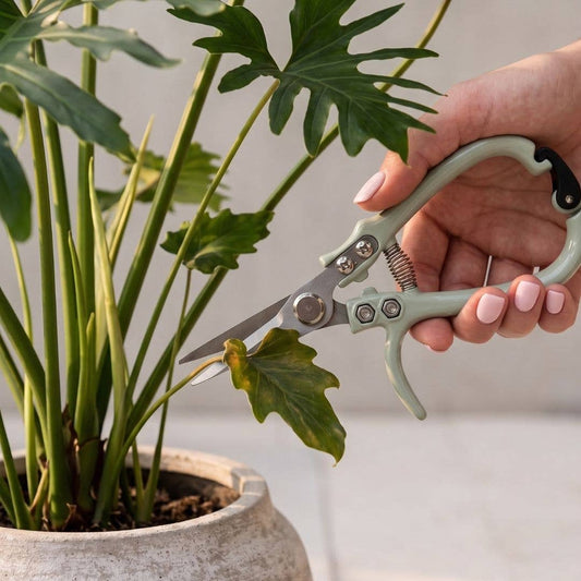 TFD Stainless Steel Garden Pruning Shears – Sage Green