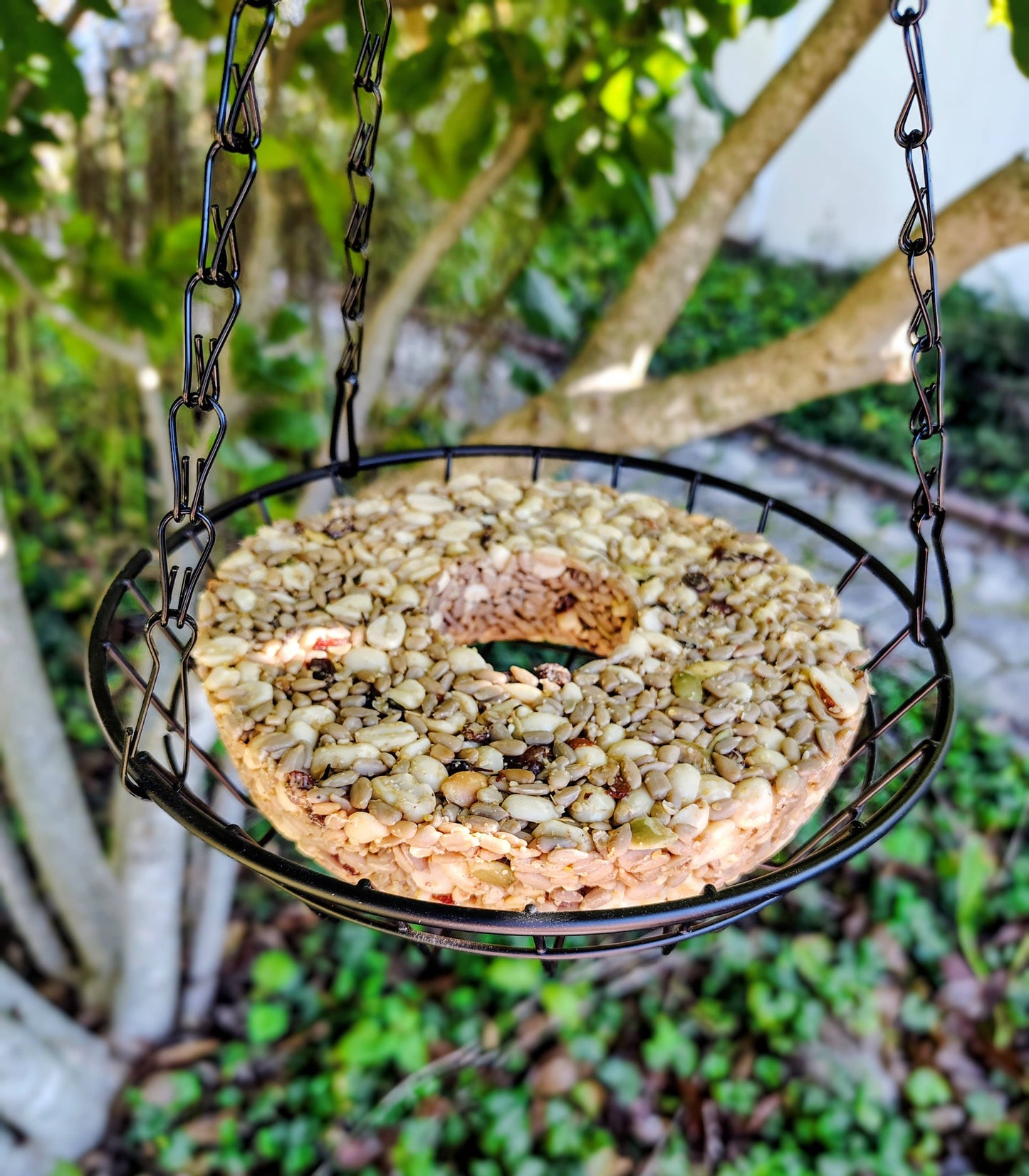 Birdseed Wreath (Woodpecker Snack)
