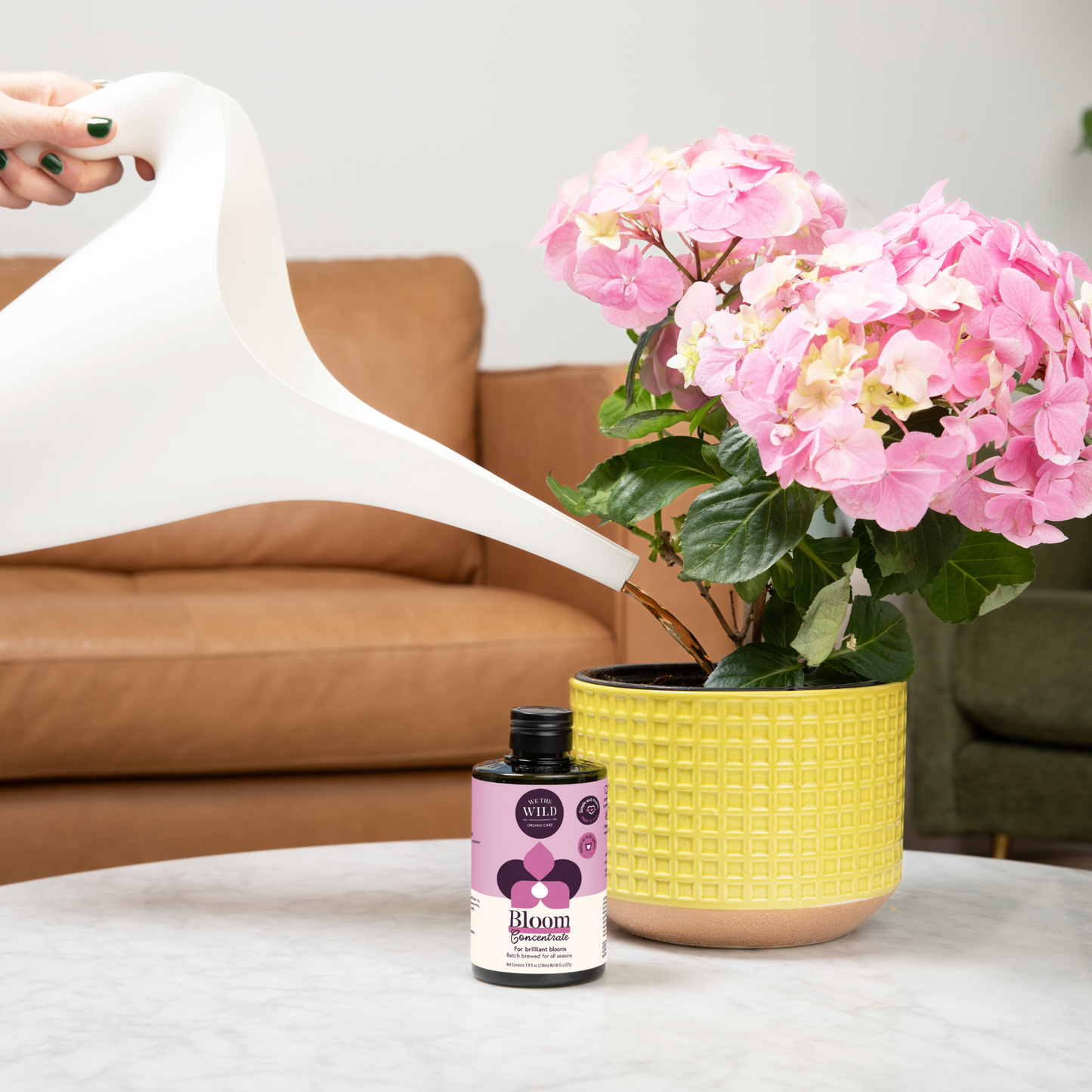 Bloom Organic Plant Food Concentrate 8 oz