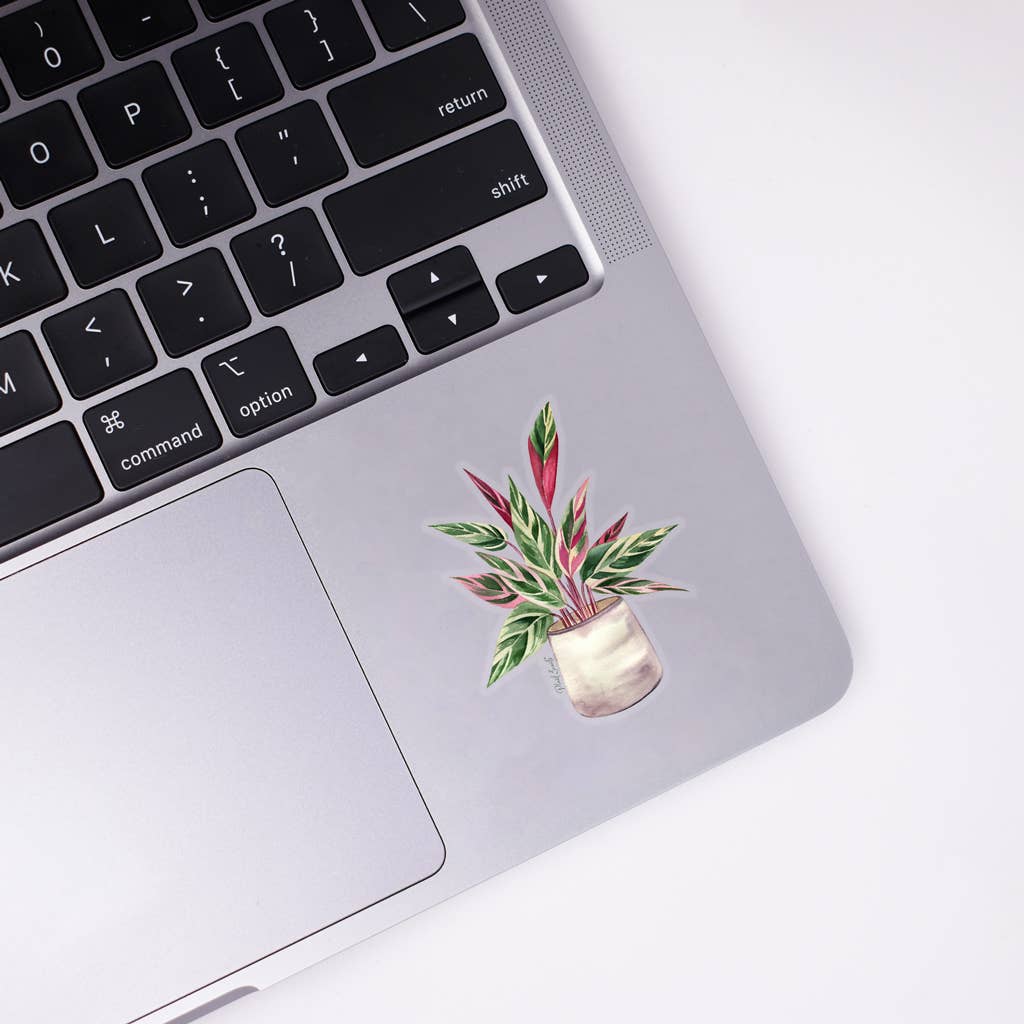 Stromanthe Triostar Sticker - House Plant Stickers