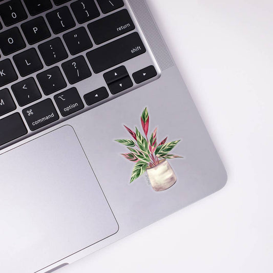 Stromanthe Triostar Sticker - House Plant Stickers