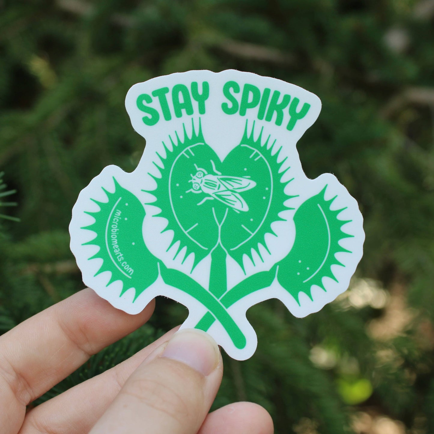 Stay Spiky Plant 3” Sticker