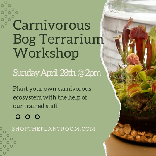 Carnivorous Plant Bog | April 28th @2pm