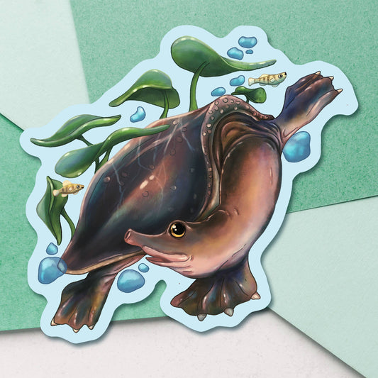 Florida Softshell Turtle Sticker: 3 inch