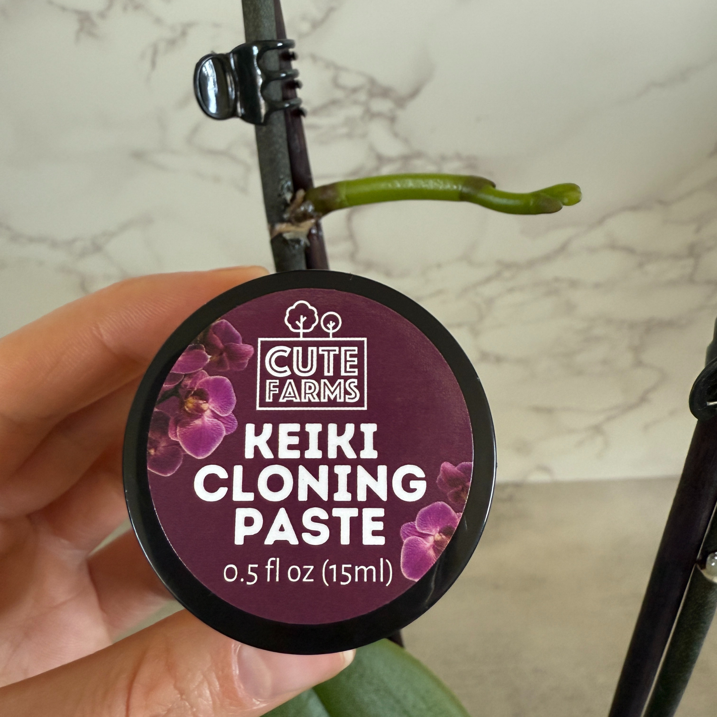 Keiki Cloning Paste for Orchids & Houseplants