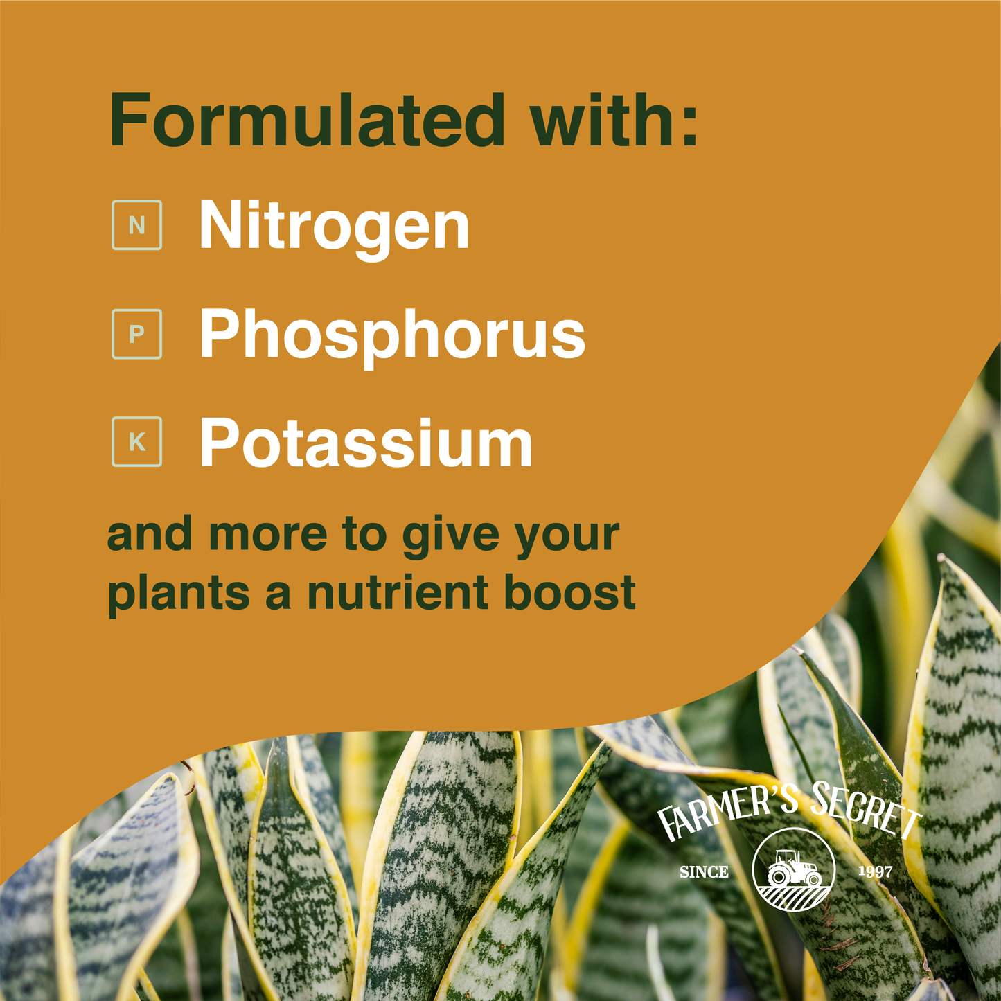 Snake Plant Food 8oz