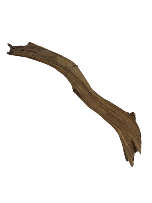 Rugged Manzanita- Medium