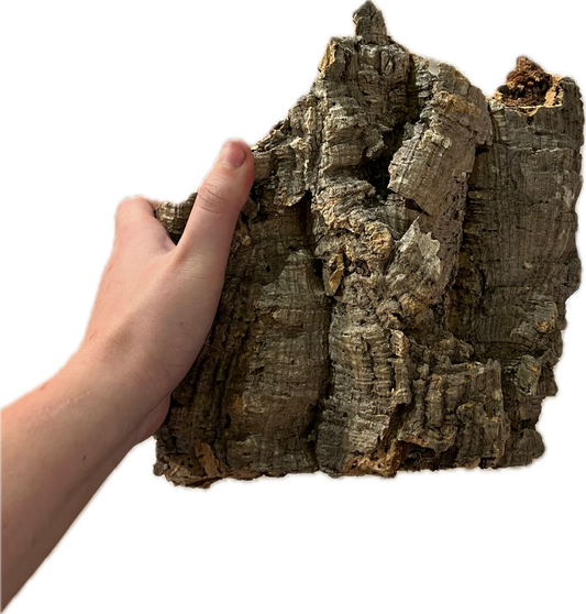 Medium Cork Bark Flat 11”-15”