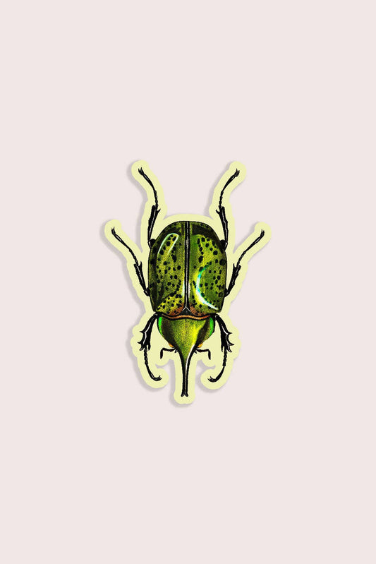 Blissful Beetle - Gap Filler Sticker
