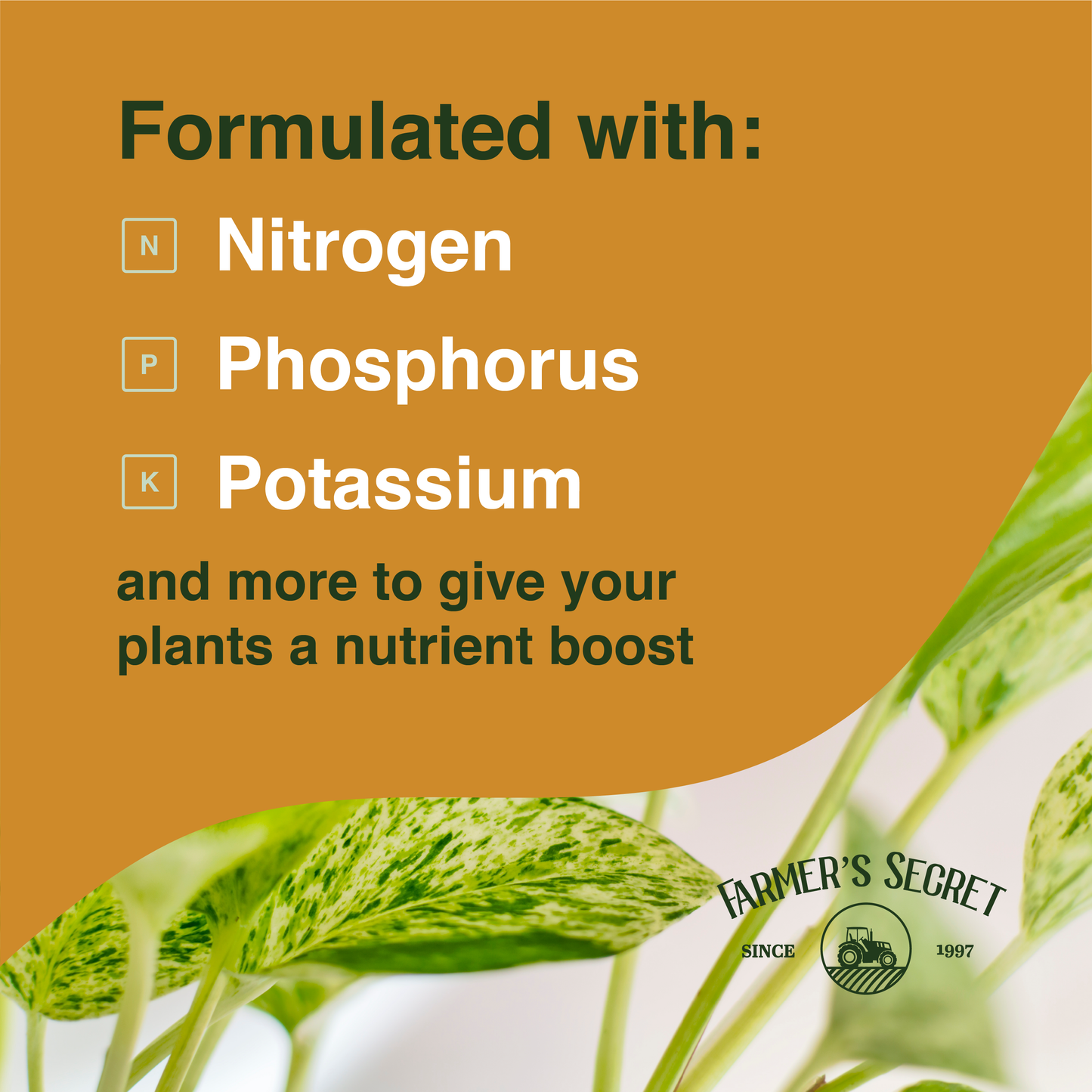 Pothos Plant Food 8oz