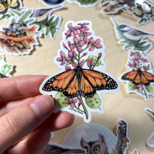 Vinyl Sticker - Monarch Butterfly On Honesty