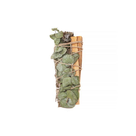 Common Sage, Eucalyptus, & Palo Santo 4" Cleansing Bundle