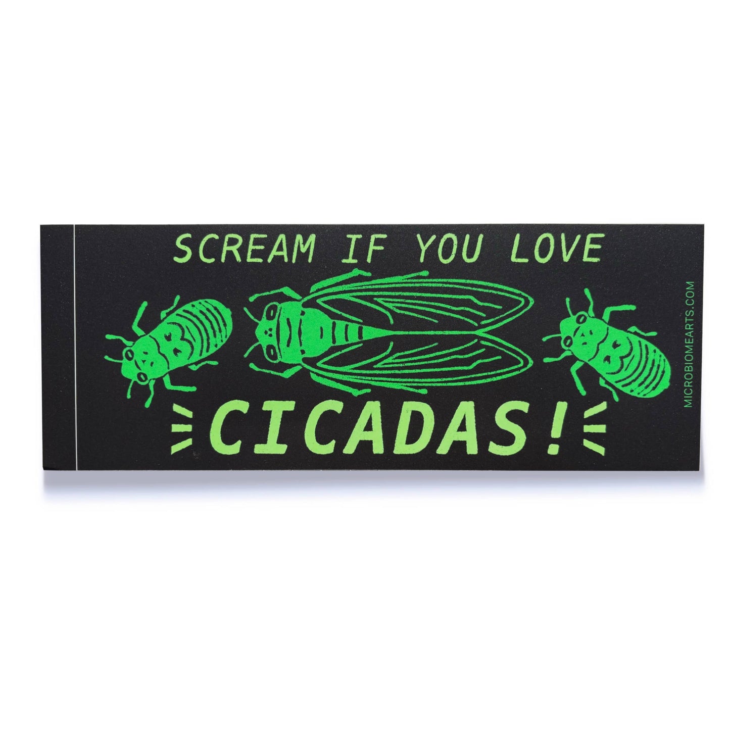 Scream If You Love Cicadas Bumper Sticker