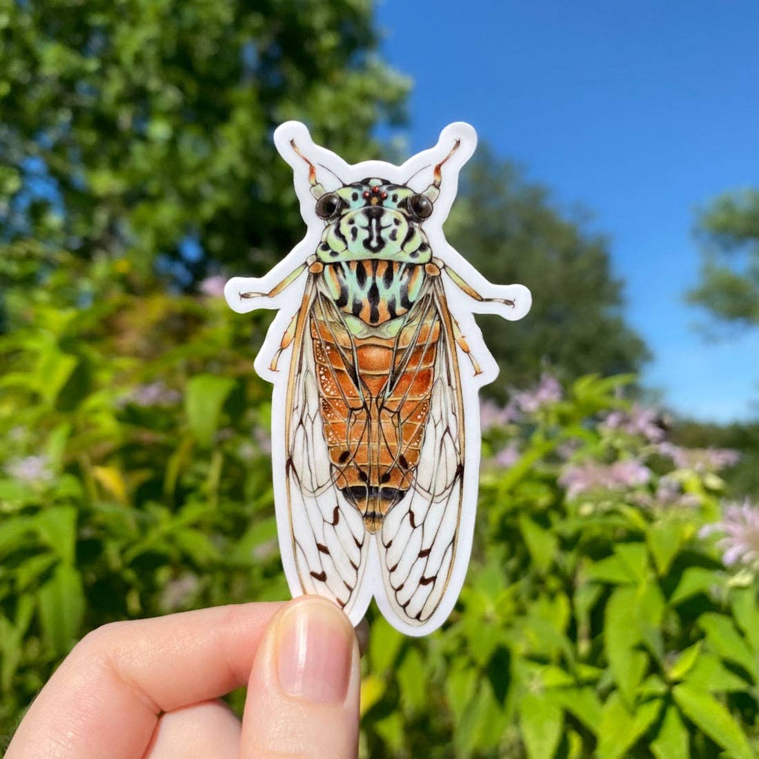 Hieroglyphic Cicada Weatherproof Vinyl Sticker