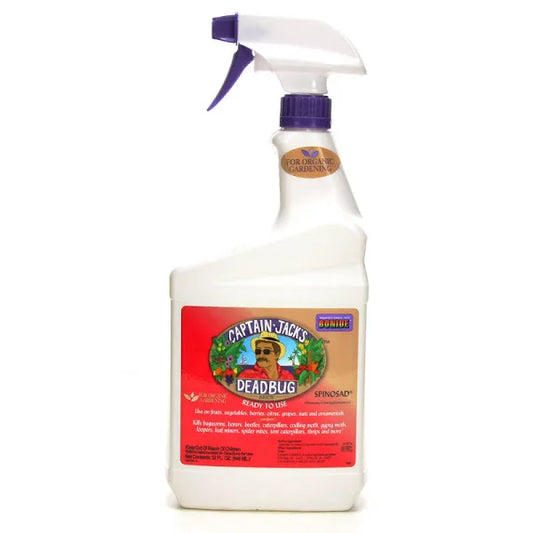 Bonide Captain Jack Dead Bug Brew 32oz