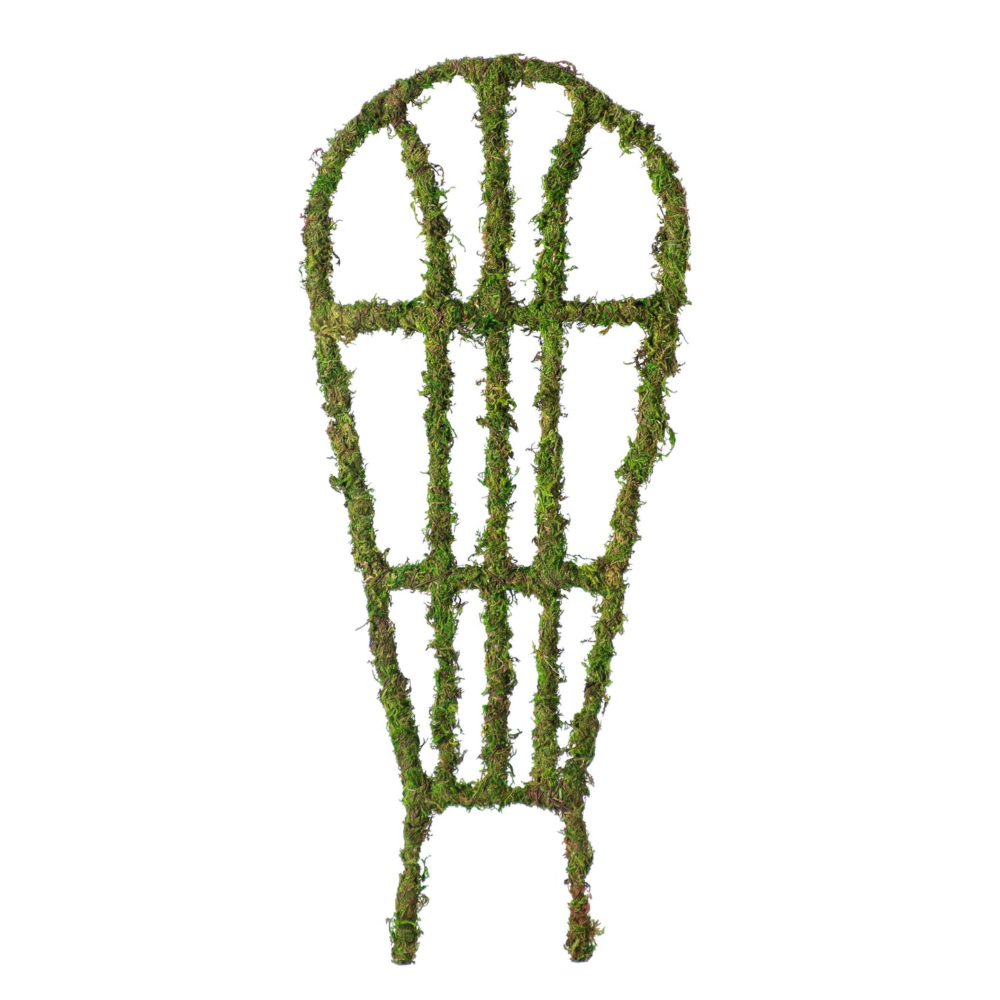 Arch Trellis