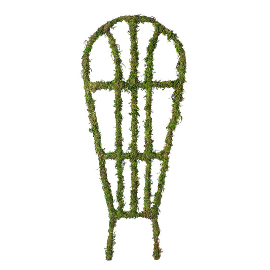 Arch Trellis