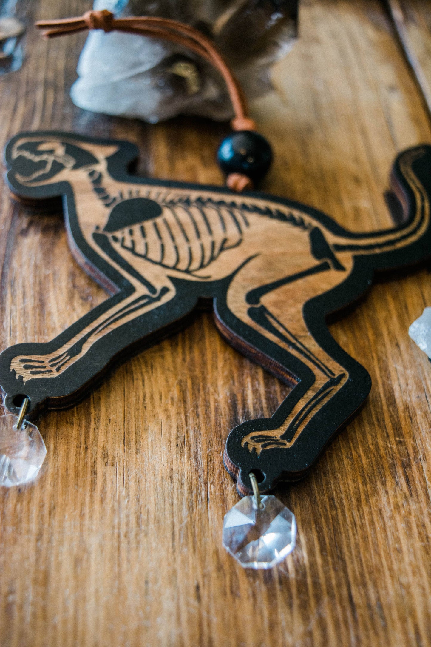 Black Cat Skeleton Wooden Ornament Wall Hanging Suncatcher