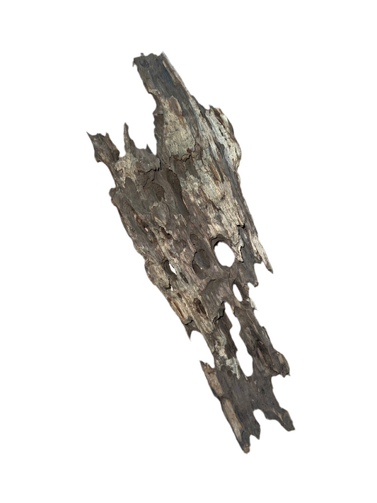 Dragon Bone Wood