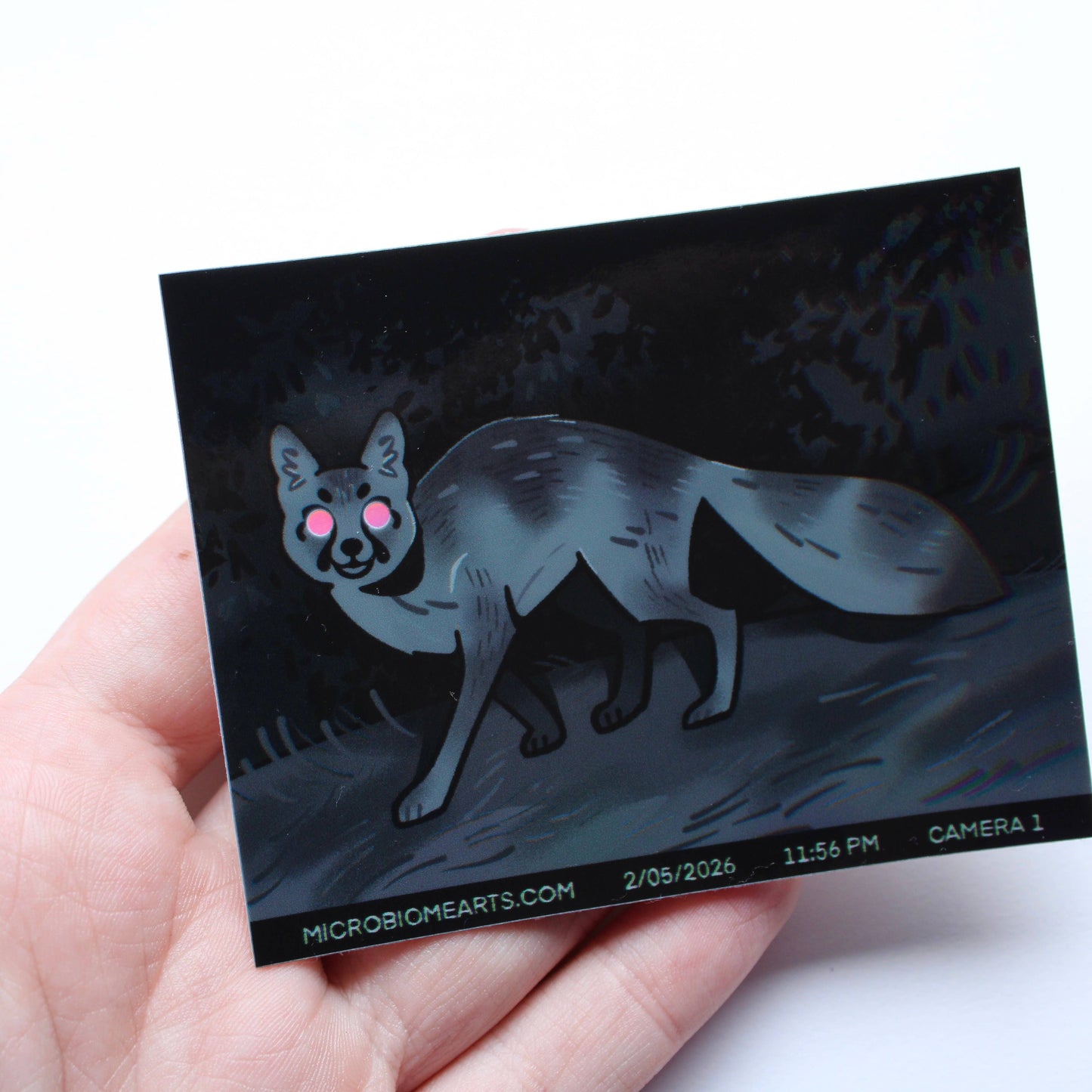 Trail Cam Fox Holo 3.5” Sticker