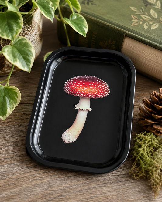 Amanita Mushroom Metal Tray - MT100