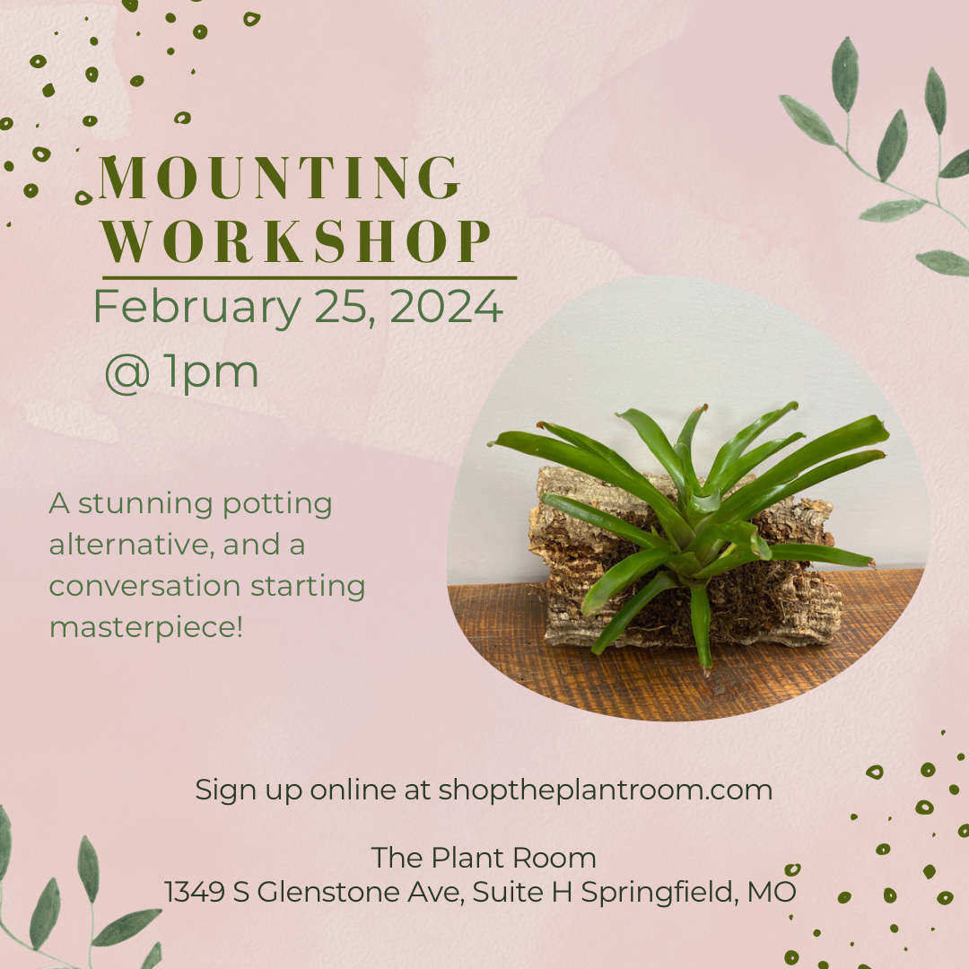 Mounting Workshop | February 25th @ 1pm