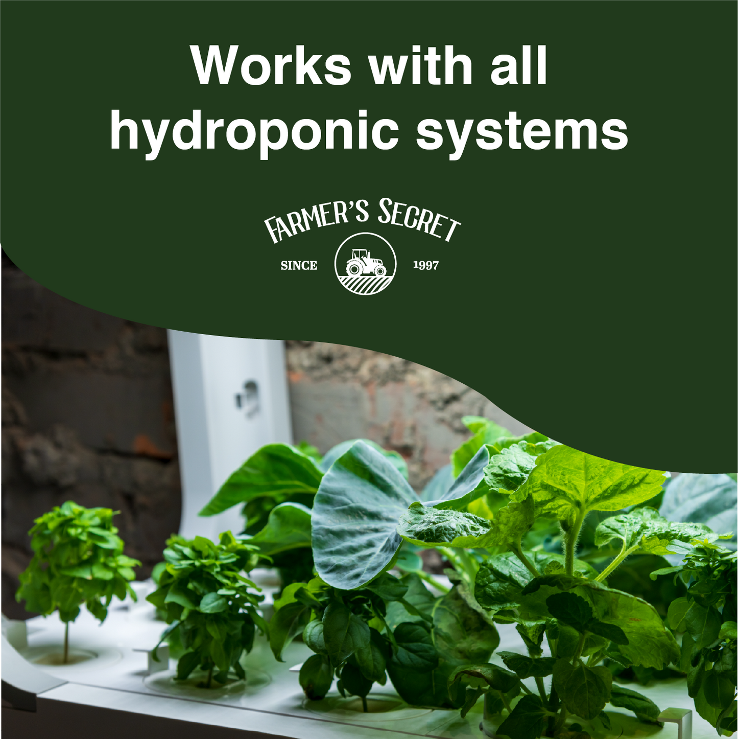 Hydroponic Booster 8oz